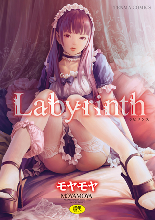 Labyrinth【DLsite限定特典付き】の表紙