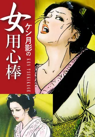 ケン月影の　女用心棒の表紙