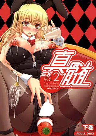 真髄EX 2 下巻の表紙 真髄EX 2 下巻の表紙