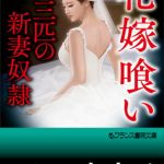 花嫁喰い【三匹の新妻奴隷】 [一柳和也(著)]  (BJ498355)