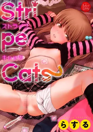Stripe Catsの表紙