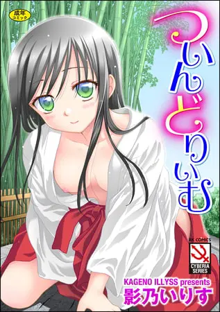 ついんどりぃむの表紙 ついんどりぃむの表紙