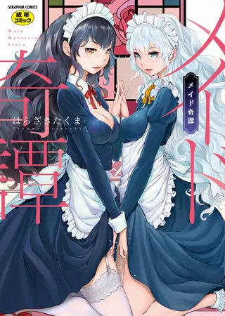 メイド奇譚の表紙 メイド奇譚の表紙