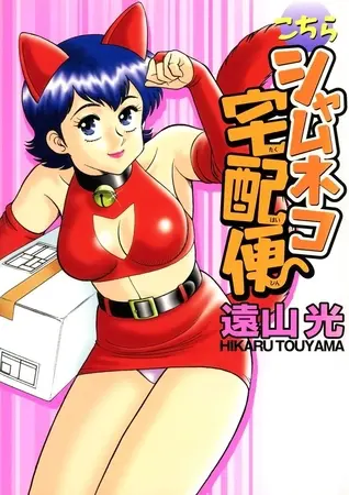 こちらシャムネコ宅配便の表紙 こちらシャムネコ宅配便の表紙