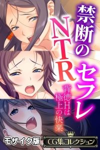 禁断のNTRセフレ ～背徳Hは極上の快楽～【CG集コレクション】 モザイク版 [大人のSEXY絵本, NULL-MOSAIC(著)]  (BJ01744380)