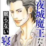 不夜城魔王たちの眠らない寝室 [葉月つや子(著)]  (BJ01773780)