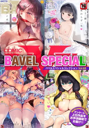 COMIC BAVEL SPECIAL COLLECTION(コミックバベル スペシャルコレクション)VOL65の表紙 COMIC BAVEL SPECIAL COLLECTION(コミックバベル スペシャルコレクション)VOL65の表紙
