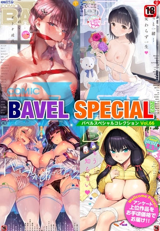 COMIC BAVEL SPECIAL COLLECTION（コミックバベル スペシャルコレクション）VOL66の表紙