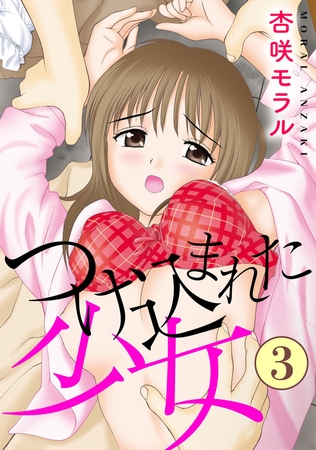 つけ込まれた少女3の表紙
