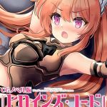 ヒロインズ・コード CGノベル版 モザイク版 前編 ～ヒロイン集結！淫虐なんかに屈しない！！～ [大人のSEXY絵本, NULL-MOSAIC(著)]  (BJ01921011)