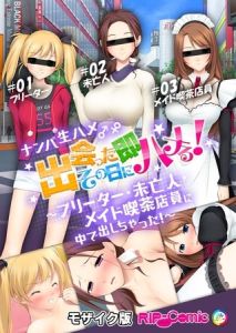 ナンパ生ハメ♂♀出会ったその日に即ハメる！～フリーター・未亡人・メイド喫茶店員に中で出しちゃった！～ モザイク版 [BENETTY, NULL-MOSAIC(著)]  (BJ01929943)