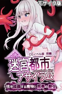 迷宮都市アサイラム CGノベル版 モザイク版 前編 ～性を蹂躙する魔物と屈辱の聖女～ [大人のSEXY絵本, NULL-MOSAIC(著)]  (BJ01959242)