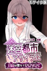 迷宮都市アサイラム CGノベル版 モザイク版 後編 ～聖女は堕ちて子宮で啼く～ [大人のSEXY絵本, NULL-MOSAIC(著)]  (BJ01980155)