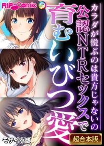 公認NTRセックスで育むいびつ愛 ～カラダが悦ぶのは貴方じゃないの～【超合本シリーズ】 モザイク版 [BENETTY, NULL-MOSAIC(著)]  (BJ01983086)