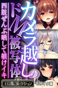 カメラ越しのドM被写体 ～四肢ぜんぶ晒して躾けイキ～【CG集コレクション】 モザイク版 [大人のSEXY絵本, NULL-MOSAIC(著)]  (BJ01983087)