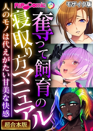 奪って飼育の寝取り方マニュアル ~人のモノは代えがたい甘美な快感~【超合本シリーズ】 モザイク版の表紙 奪って飼育の寝取り方マニュアル ~人のモノは代えがたい甘美な快感~【超合本シリーズ】 モザイク版の表紙