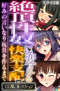 絶頂●●に変える快楽支配 ～好みの言いなり玩具を作るまで～【CG集コレクション】 モザイク版 [大人のSEXY絵本, NULL-MOSAIC(著)]  (BJ02113163)