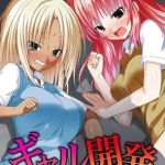 ギャル開発～鬼畜なプレイでクソギャルどもを狂わせる～ [出版:デジタルコミック流通ネットワーク]  (BJ02134851)