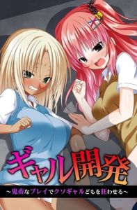 ギャル開発～鬼畜なプレイでクソギャルどもを狂わせる～ [出版:デジタルコミック流通ネットワーク]  (BJ02134851)