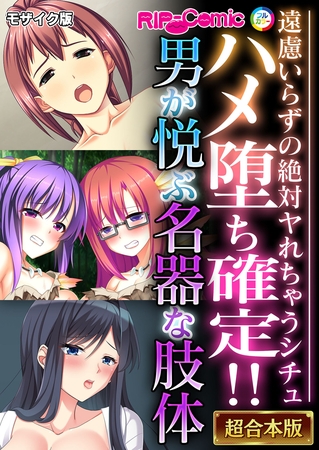 ハメ堕ち確定！！男が悦ぶ名器な肢体 ～遠慮いらずの絶対ヤれちゃうシチュ～【超合本シリーズ】 モザイク版の表紙