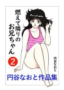 円谷なおと作品集２　燃えて隣りのお兄ちゃん [円谷なおと(著)]  (BJ02154306)