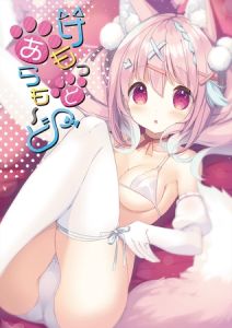 けもっとあらも～ど【デジタル修正版】 [出版:サークルコネクト]  (BJ02244918)