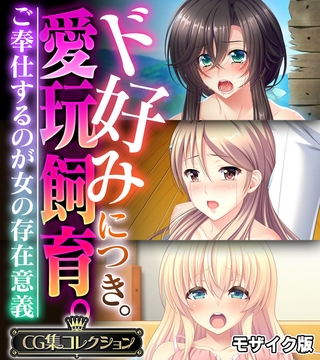ド好みにつき。愛玩飼育。 ～ご奉仕するのが女の存在意義～【CG集コレクション】 モザイク版の表紙