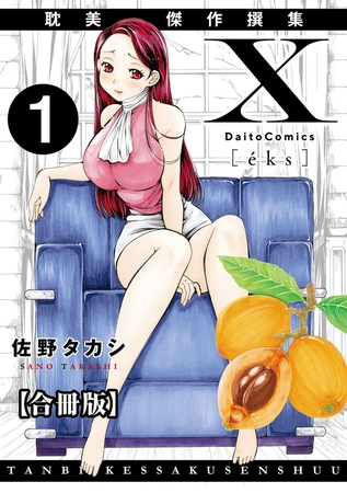 X耽美傑作撰集【合冊版】1の表紙