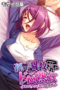 孫に調教されたドM熟女 ～義祖母の処女を奪って快楽開花～ モザイク版 [ばたぁさんど, NULL-MOSAIC(著)]  (BJ02275246)