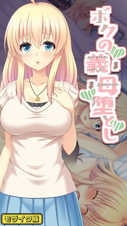 ボクの義母堕とし モザイク版の表紙 ボクの義母堕とし モザイク版の表紙