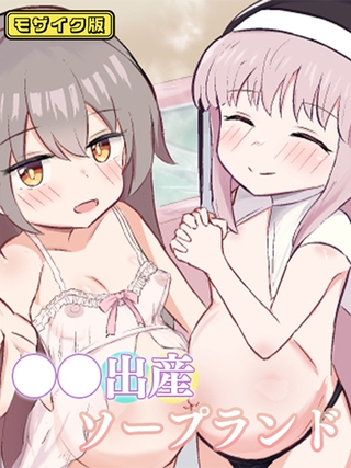 ●●出産ソープランド モザイク版の表紙