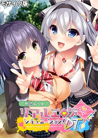 リアルエロゲシチュエーション!DT 共通ルート モザイク版の表紙 リアルエロゲシチュエーション!DT 共通ルート モザイク版の表紙