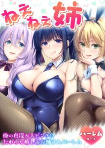 ねぇねぇ姉 ～俺の貞操が大ピンチ！？たわわな癒し系お姉さんハーレム～ ハーレムルート [CeRev(著)]  (BJ02333800)