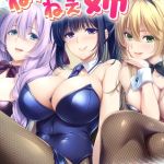 ねぇねぇ姉 ～俺の貞操が大ピンチ！？たわわな癒し系お姉さんハーレム～ ハーレムルート モザイク版 [CeRev, Porro-Mosaic(著)]  (BJ02333801)