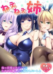 ねぇねぇ姉 ～俺の貞操が大ピンチ！？たわわな癒し系お姉さんハーレム～ 共通＋ハーレムルート [CeRev(著)]  (BJ02333802)