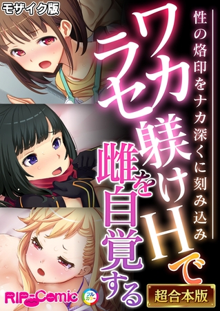 ワカラセ躾けHで雌を自覚する ～性の烙印をナカ深くに刻み込み～【超合本シリーズ】 モザイク版の表紙